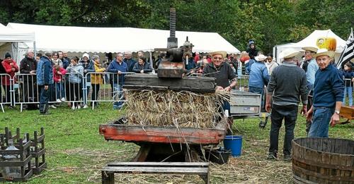 À Fouesnant, la Fête de la pomme fait son retour